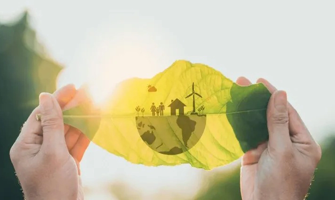 Eficiência e Transparência